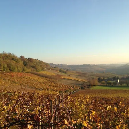 Bricchetta * Costigliole d'Asti