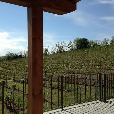 Villa Bricchetta Costigliole d'Asti